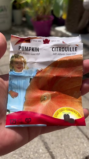 growithjessie on TikTok