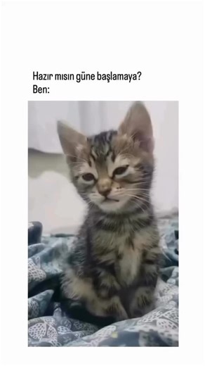 misperry on Instagram: "Günaydınnnnn 🤗 #kesfet #instagram #günaydın #komikvideolar #goodmorning #fyp #fyp"