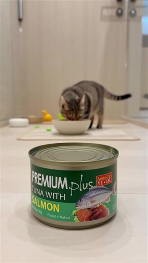 Aristo Cat Premium Plus Wet Food Review