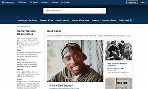 Encyclopedia Britannica Review (2026): Features, Pricing, Pros & Cons | NitDit