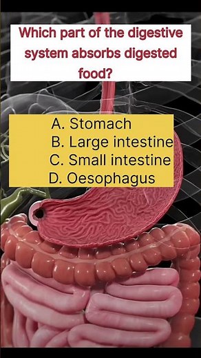 Life Processes MCQ Class 10 🔥 | NCERT Science Chapter 5 | CBSE Board Exam