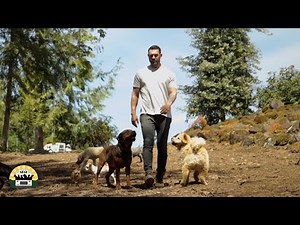 What Is The Asher House?