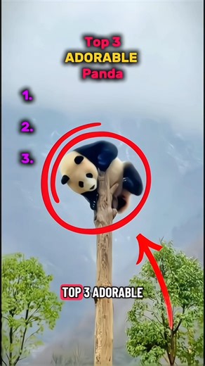 Top 3 adorable panda #panda #animal #shortsviral