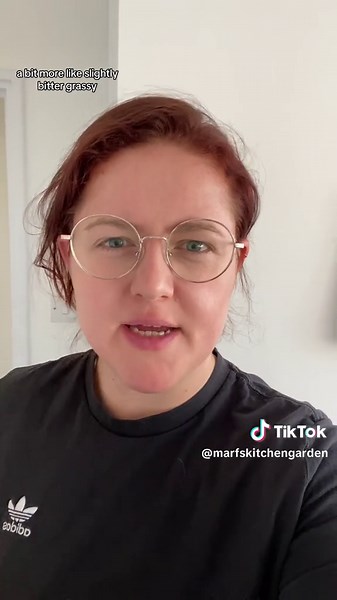 TikTok - Make Your Day