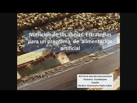 Nutrición de las abejas. Estrategias para un programa de alimentación artificial