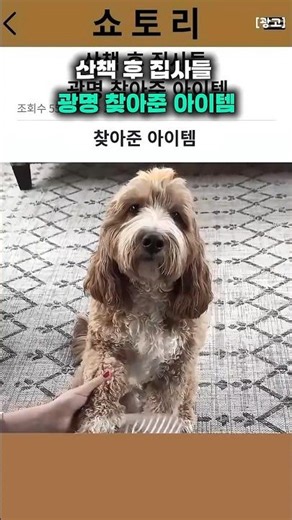 ✨ 제품 구경은 프로필 하단 구매링크를 확인 ✅✨✨ 구매 링크 내 14번 제품 구경 !!! ✨이 포스팅은 쿠팡 파트너스 활동의 일환으로, 이에 따른 일정액의 수수료를 제공받습니다.