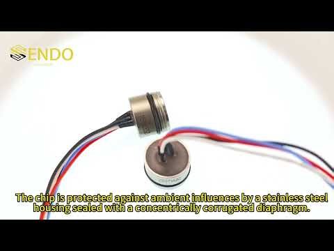 OEM Isolated Pressure Transducer SS100