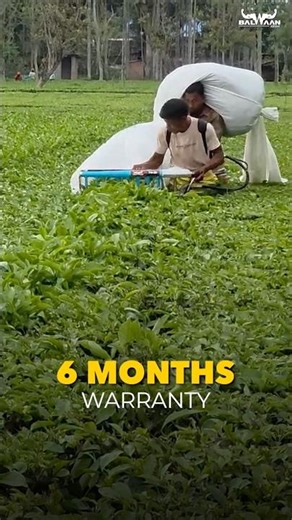 😱 Amazing Tea Harvester | Balwaan Tea Harvester | TH-26