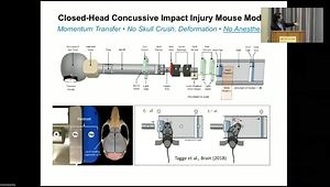 Mechanisms of Concussion, Traumatic Brain Injury, CTE