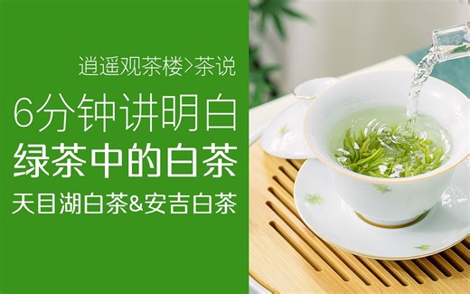 6分钟讲明白绿茶中的白茶——天目湖白茶和安吉白茶