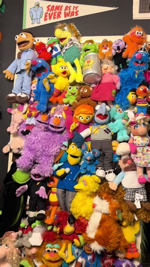 TikTok · marissa | muppet collector