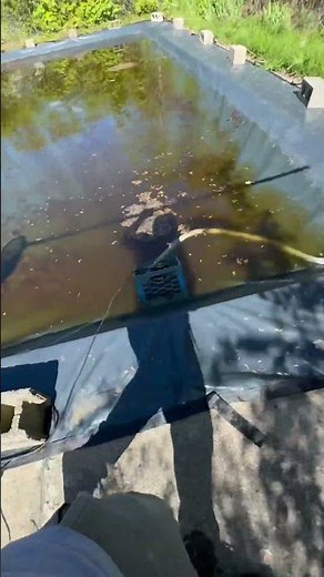 Cleaning and pumping water off of a dirty pool cover! Insane after result #poolguy