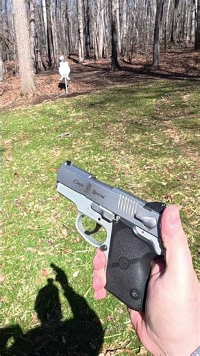 This 3rd Gen Smith & Wesson Inc. #CS45 Chief’s Special