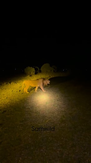 2.1K views · 294 reactions | A powerful morning wake-up call from the...