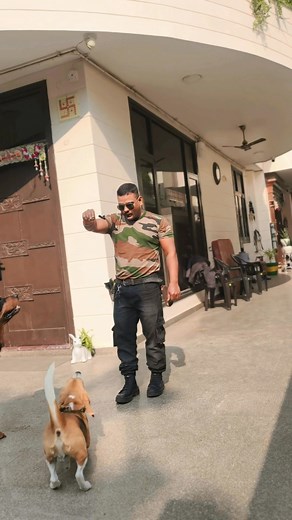 4K views · 43 reactions | Beagle puppy Training 藍 #beagle #beaglesofinstagram #dogsofinstagram #dog #beaglelove #beaglelife #beagles #dogs #beaglepuppy #puppy #beagleworld #beaglemania #doglover #dogstagram #beaglelover #doglife #beaglegram #dogoftheday #instadog #beagledog #puppylove #puppiesofinstagram #doglovers #beagleoftheday #beagleboy #beaglemix #beagledaily #goldenretriever #love #cute | Sonu Singh Yadav | Facebook