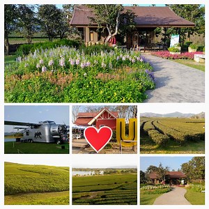 【泰國】清萊-Singha Park 聖獅公園【辛哈公園】 - 旅遊休閒樂活趣 - udn部落格