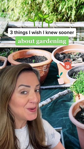 Beginner Gardening Tips for Budget-Friendly Garden Projects 🌱