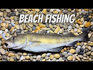 Beach Fishing - Chesil Beach - Cod - 1/4