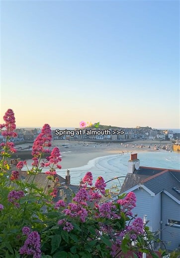 Falmouth University on TikTok