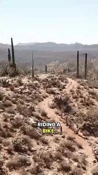 Ride Hard #hardenduro #dirtking