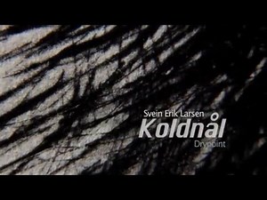 KOLDNÅL DRYPOINT-PRINTMAKING The whole process by Svein Erik Larsen