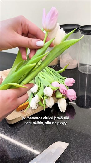 Vinkit tulppaanien hoitoon!