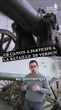 VERDUN: The cannon of Fort Vaux!