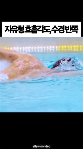 자유형 호흡각도, 수경 반쪽만 #swimming #수영 #swim #freestyleswimming