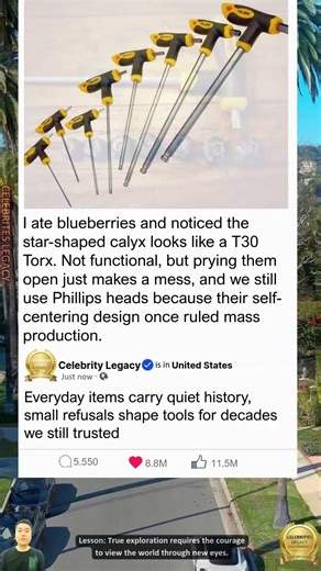 Blueberries Perfectly Fit T30 Torx Bits – And It Ties Back to a Century-Old Screw Dispute