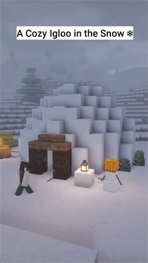 Cozy Igloo House in Minecraft Snow Biome ❄️🏠