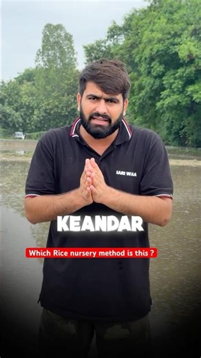 Dapog Nursery Method