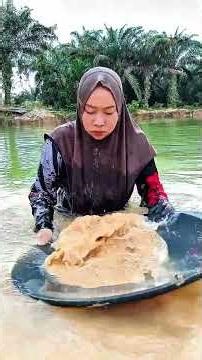 the process of finding gold. there are still many gold grains in the former gold mine. #gold