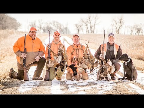 Pheasant Hunting South Dakota's Sand Lake National Wildlife Refuge | The Flush: Season 10, Episode 8