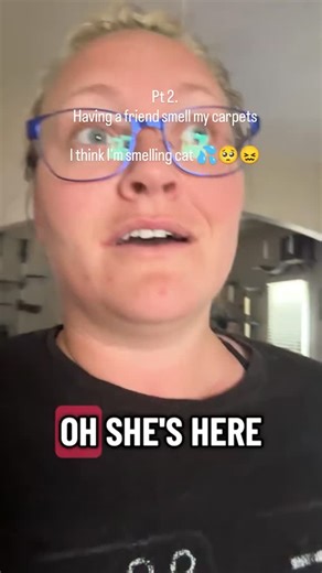 Morgan | Pt 2. I was folding laundry and thought I could smell cat pee. I have shampooed these carpets so many times with so many enzyme cleaners. I... | Instagram