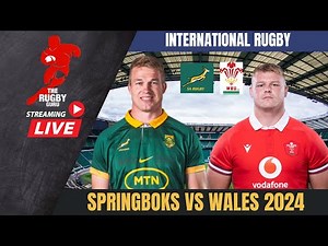SPRINGBOKS VS WALES 2024 LIVE MATCH COMMENTARY