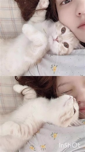 มาเม้นกันด้วยย#แชทปลอมน้า🌷❕ #แชทปลอมน้าบอย่ามาม่าน้าครัช🤏🏻🍪 #ฟีดดดดดดดดดดดดดดดดดดดดดดดดดดดดดดดดดดดดดดดดดดดดดดดดดดดดดดดดดดดดดดดดดดดด #fyp #อย่าปิดการมองเห็นหนู