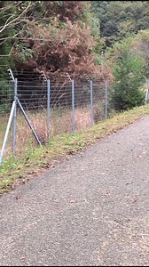 3.9K views · 110 reactions | Good morning. Sa mga nag aalala na kung...