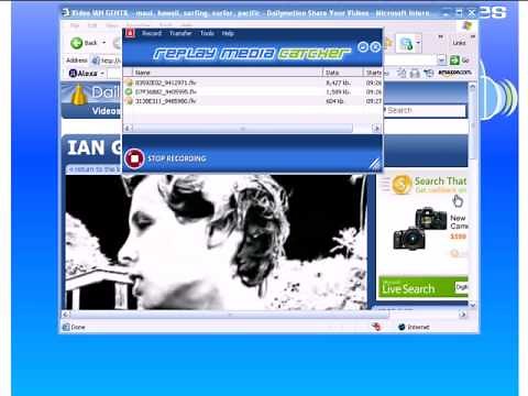 DailyMotion Downloader: How to Download Videos from DailyMotion