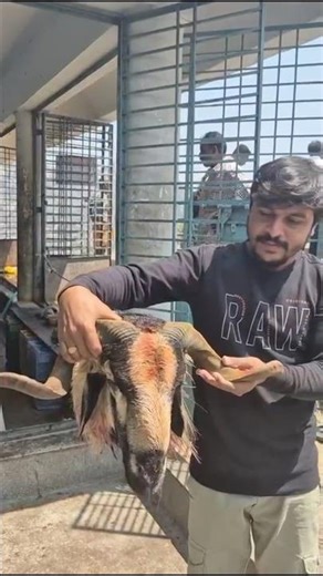 Thalakura (For a tangy, tamarind-based gravy) #mutton curry #thalakura #food #travel #streetfood