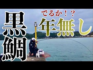 【黒鯛】宮崎県北防波堤でチヌ釣り！でるか！？年無し！！