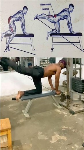 😈The Best Ankle Straps How to Properly Perform Cable Glute Kickbacks With Good Form ExerciseTutoria