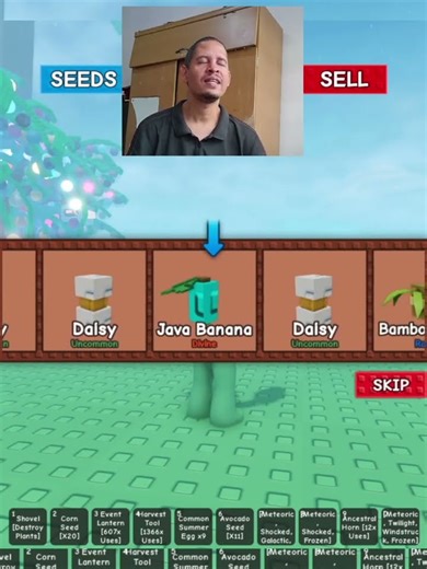 Safari Seed pack Opening Ep 4 (Java Banana) Grow a Garden