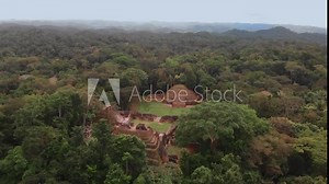 Caracol Mayan Temple in Belize Drone Video Shot, Aerial Footage