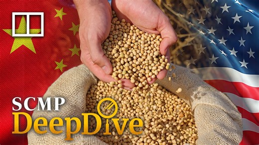 China halts soy imports from Brazil plants, pivots to US amid food safety probe