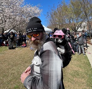 Mutts on Main | Explore Gainesville