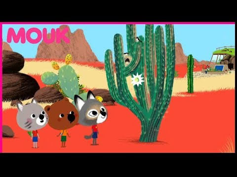 La Rose et les Cactus 🌹🌵| Mouk | 90' Compilation