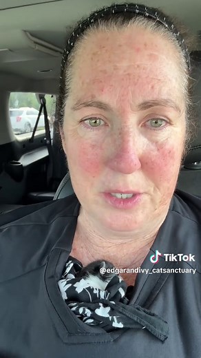 Injured Kitten Rescue: The Importance of Sterilizing Cats