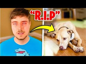 5 YouTubers Caught Crying On Camera (MrBeast. Guava Juice, DanTDM)