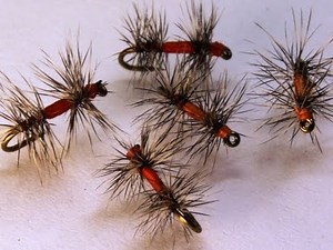 How to tie an Orange Asher ~ Dry Fly
