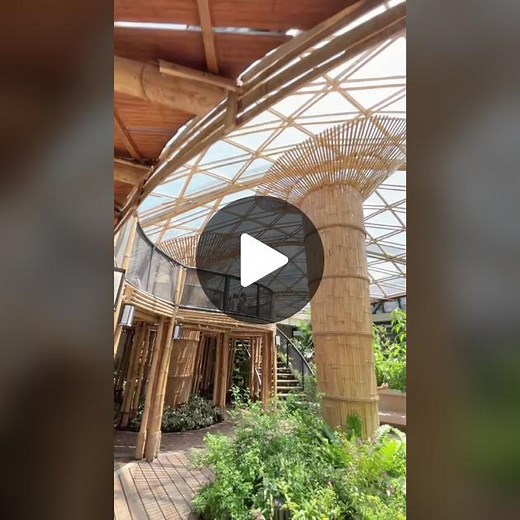 Rediscover the Modernized Manila Zoo